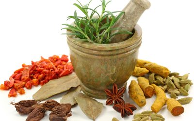 QUÉ ES EL AYURVEDA