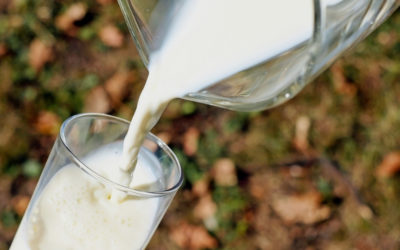 ¿Como consumir leche según el Ayurveda?